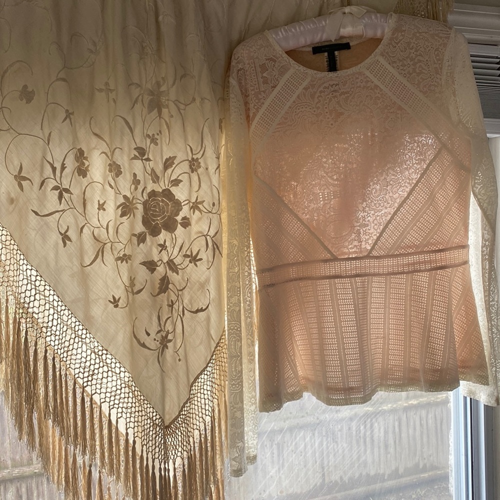 Delicate sheer lace blouse